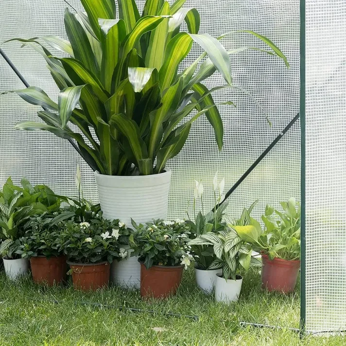 Skleník 200x169x77cm s černou kovovou konstrukcí a poloprůhledným polyetylenovým krytem Woltu